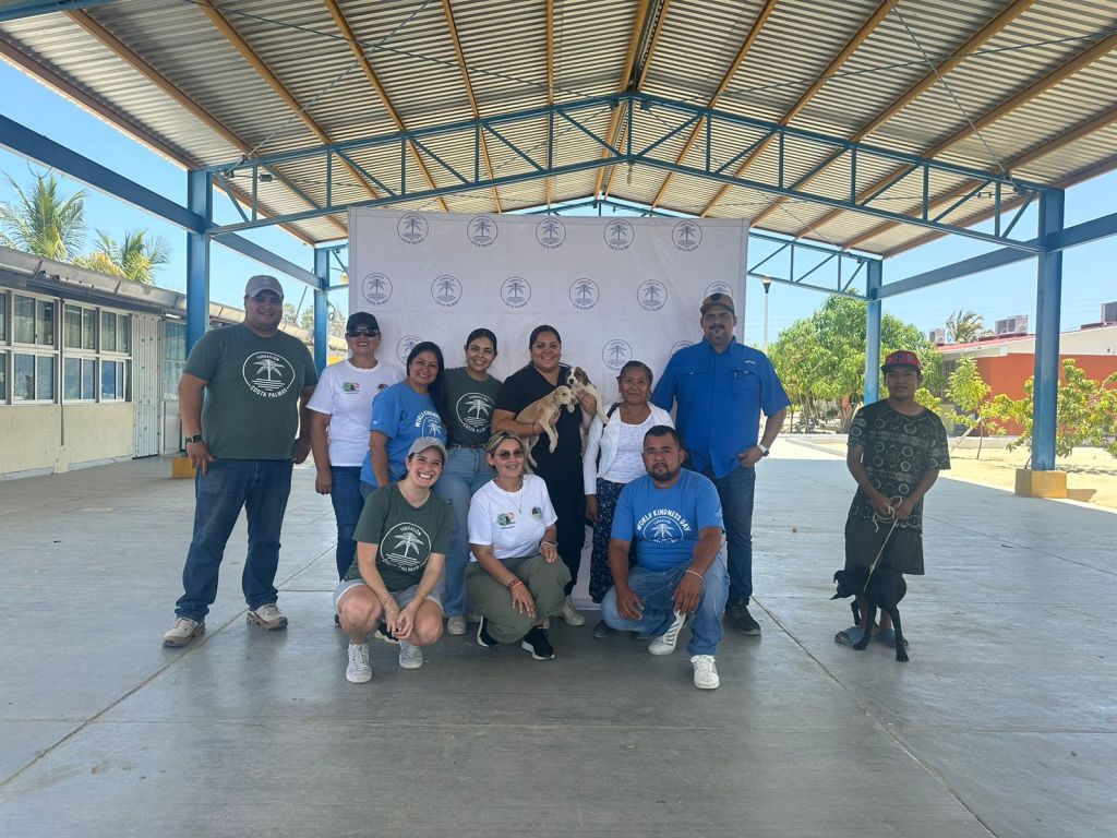 Se realizó con éxito una Campaña de Vacunación para perros y gatos de manera&nbsp;gratuita.