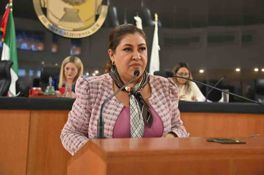 “Que los derechos de los pueblos indígenas y afromexicanos sean una realidad vivida”: diputada Cristina&nbsp;contreras.