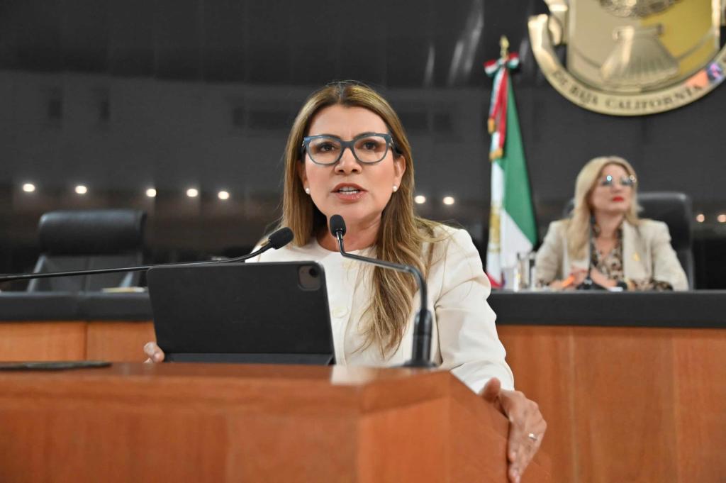“Inicio esta XVII Legislatura en el contexto de un país que enfrenta severos, problemas generados”: diputada Guadalupe&nbsp;Saldaña