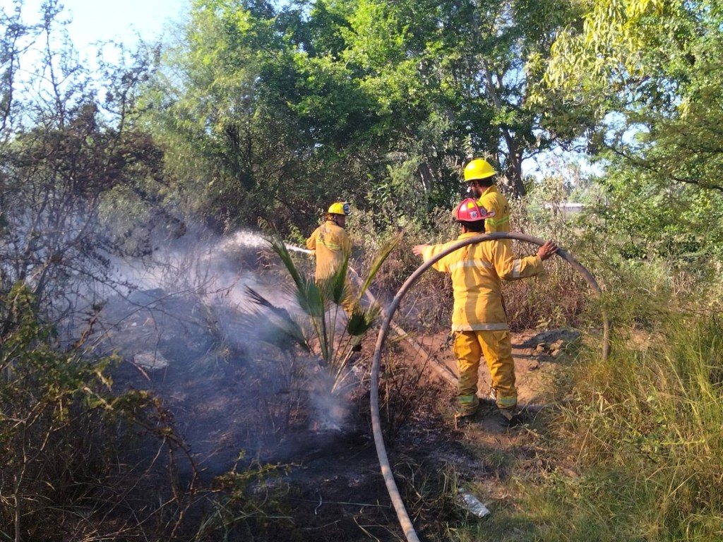 Baja California Sur Concluye Temporada de Huracanes e Incendios Forestales 2024 con&nbsp;Éxito