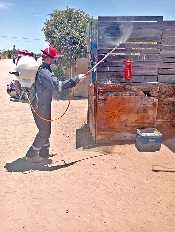 Acciones intensificadas contra la rickettsiosis en&nbsp;Vizcaíno