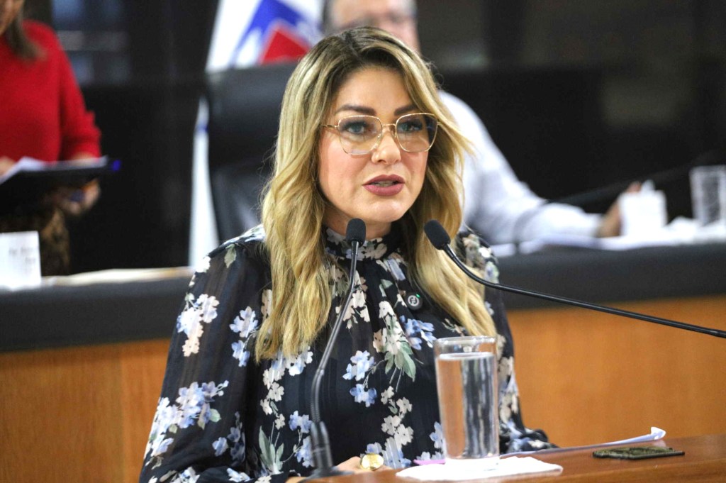 Diputada Karina Olivas: Una Visión Progresista para&nbsp;México