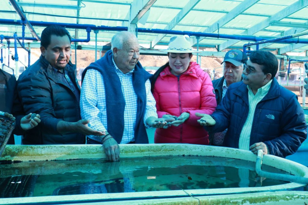 Titular de CONAPESCA Apoya a Productores Pesqueros del Pacífico Norte Durante Visita a Baja California&nbsp;Sur