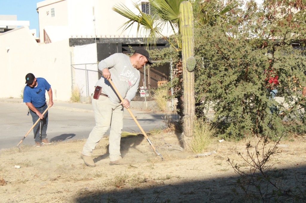 Servicios Públicos de Los Cabos Limpian Más de 3,400 Metros de Camellones en San José del&nbsp;Cabo
