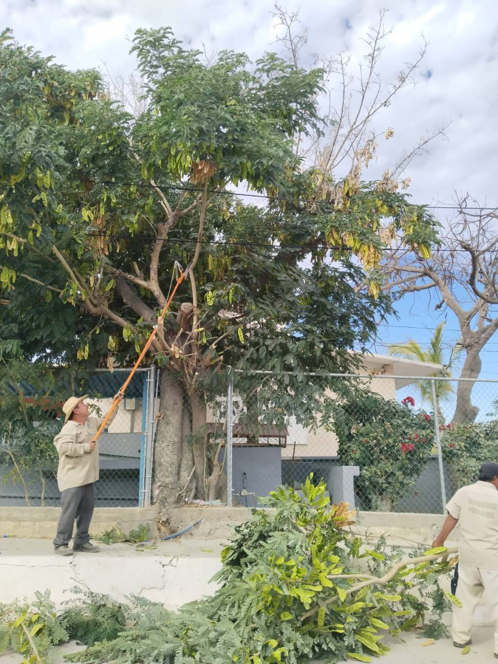 Ayuntamiento de Los Cabos Atiende Peticiones Ciudadanas para Mejorar la Calidad de&nbsp;Vida