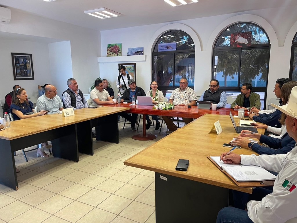 Loreto se Prepara para la Cuarta Edición del Torneo de Pesca Femenil «Pink Promise» con&nbsp;Causa