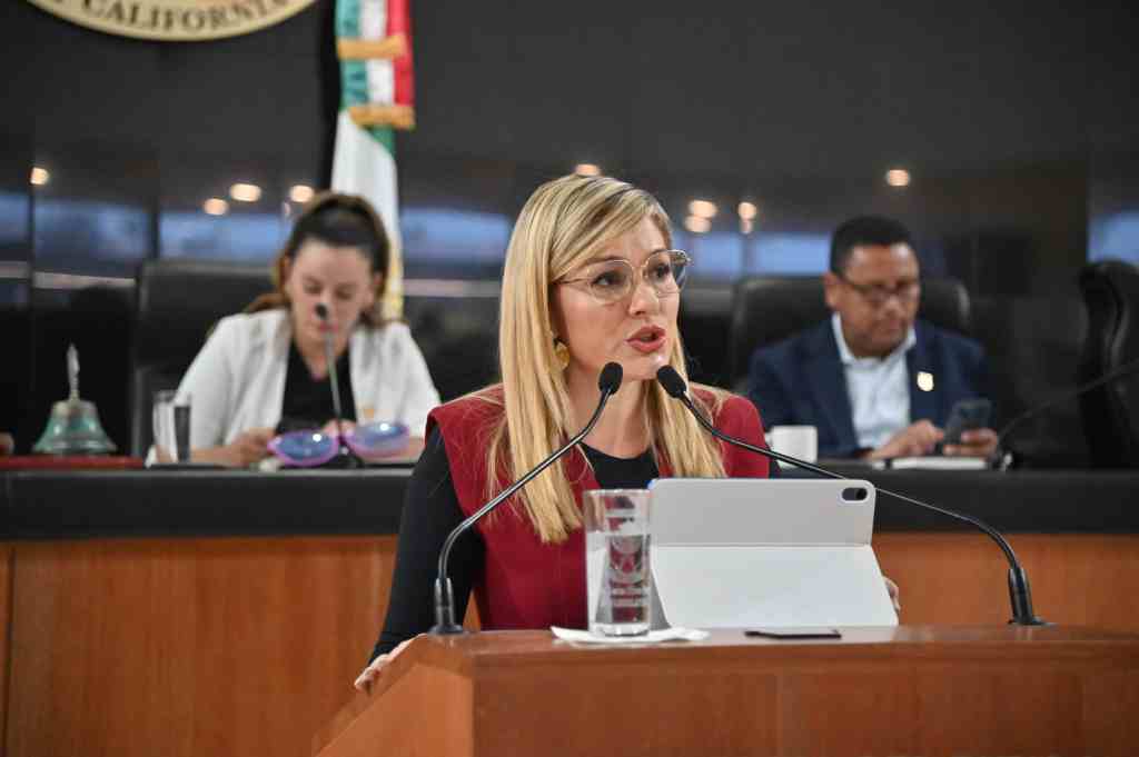 «El Corazón de La Paz» Impulsa la Participación Juvenil: Congreso Aprueba Foro «Incubadora de Legisladores 2025» Gracias a la Iniciativa de Karina Olivas&nbsp;Parra