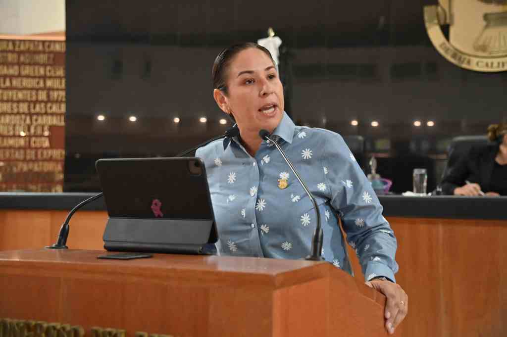Valiente Iniciativa de Alondra Torres Busca Frenar Alarmante Aumento de ITS en Los Cabos, Mientras Otra Diputada Intenta Sumarse a la Ola del&nbsp;Éxito