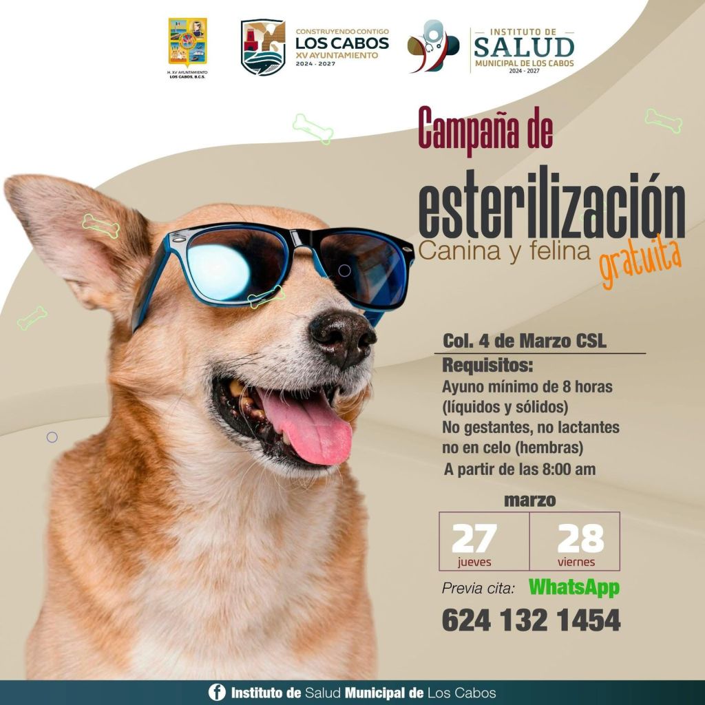 Anuncian Campaña Gratuita de Esterilización Canina y Felina en Cabo San&nbsp;Lucas