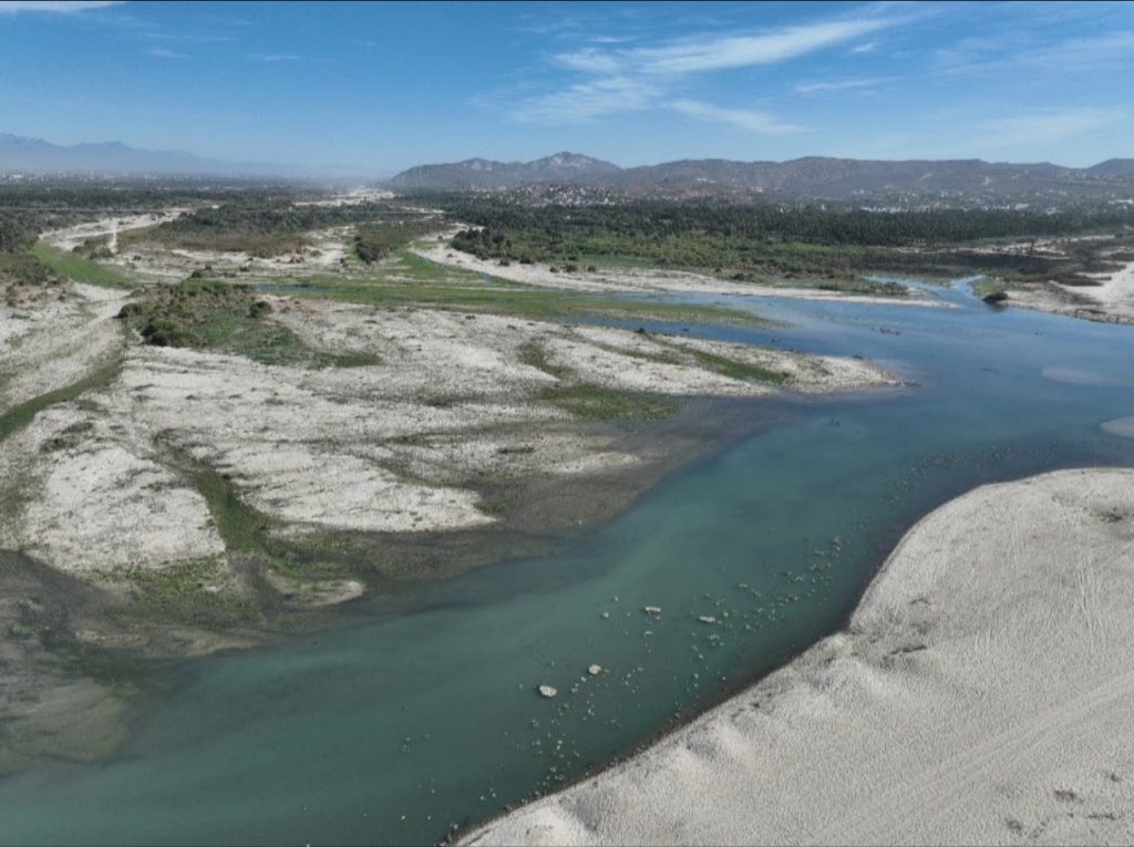 Implementarán Plan Integral para la Conservación del Estero de San José del&nbsp;Cabo