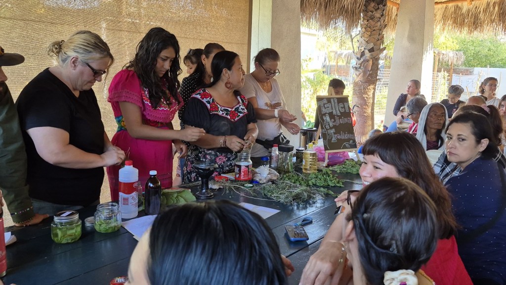 Imparten exitoso taller de medicina tradicional en La Paz: Resaltan el interés ciudadano en conocimientos&nbsp;ancestrales