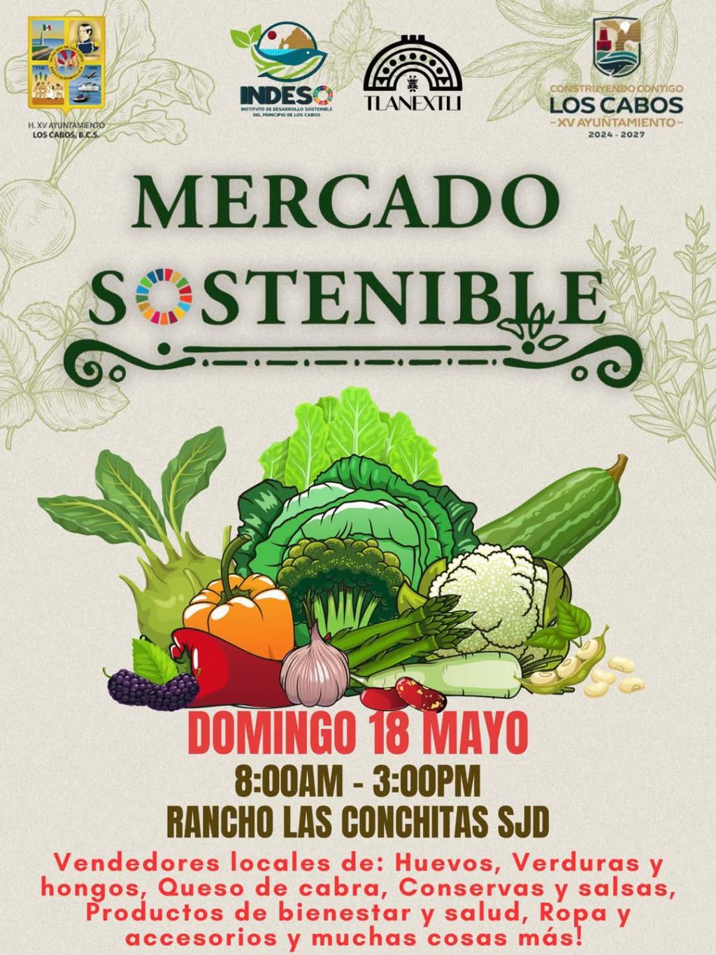 Los Cabos Lanza «Mercado Sostenible» para Impulsar Emprendimiento y Economía Local en Rancho Las&nbsp;Conchitas