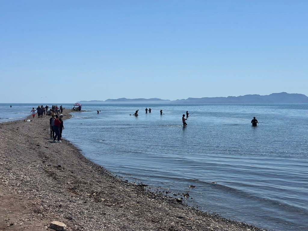 Loreto Celebra con Entusiasmo las Fiestas Patronales en Colonia Zaragoza, Encabezadas por la Alcaldesa Paz&nbsp;Ochoa