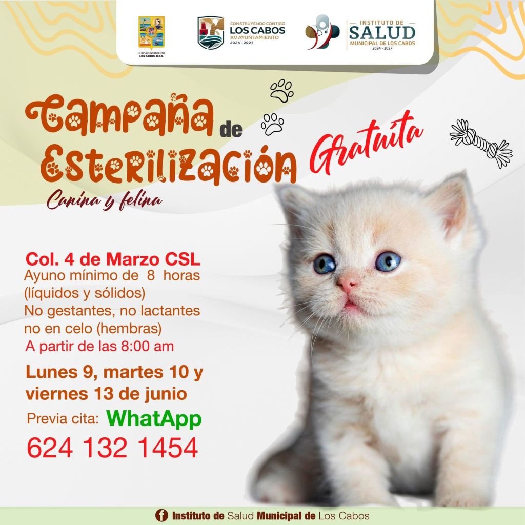Anuncian Nueva Campaña Gratuita de Esterilización Canina y Felina en Los&nbsp;Cabos