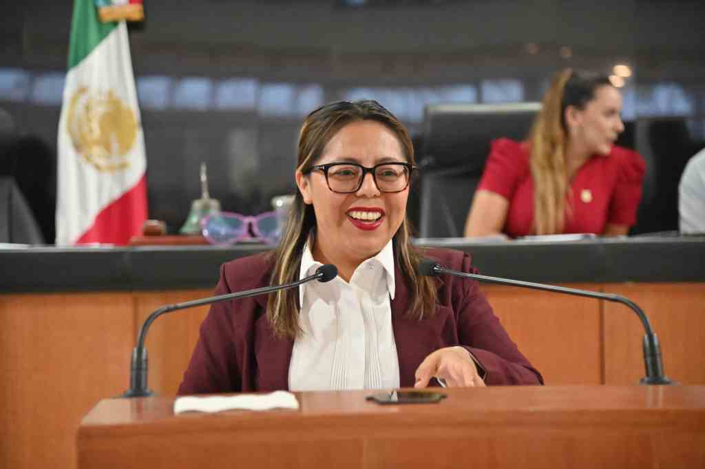 La Magia Visual de la Diputada Valentín: ¿Recuperación o&nbsp;Campaña?