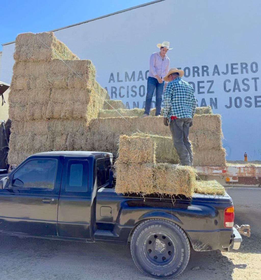 Respalda Ayuntamiento de Los Cabos a productores rurales con subsidio de flete en&nbsp;forraje.