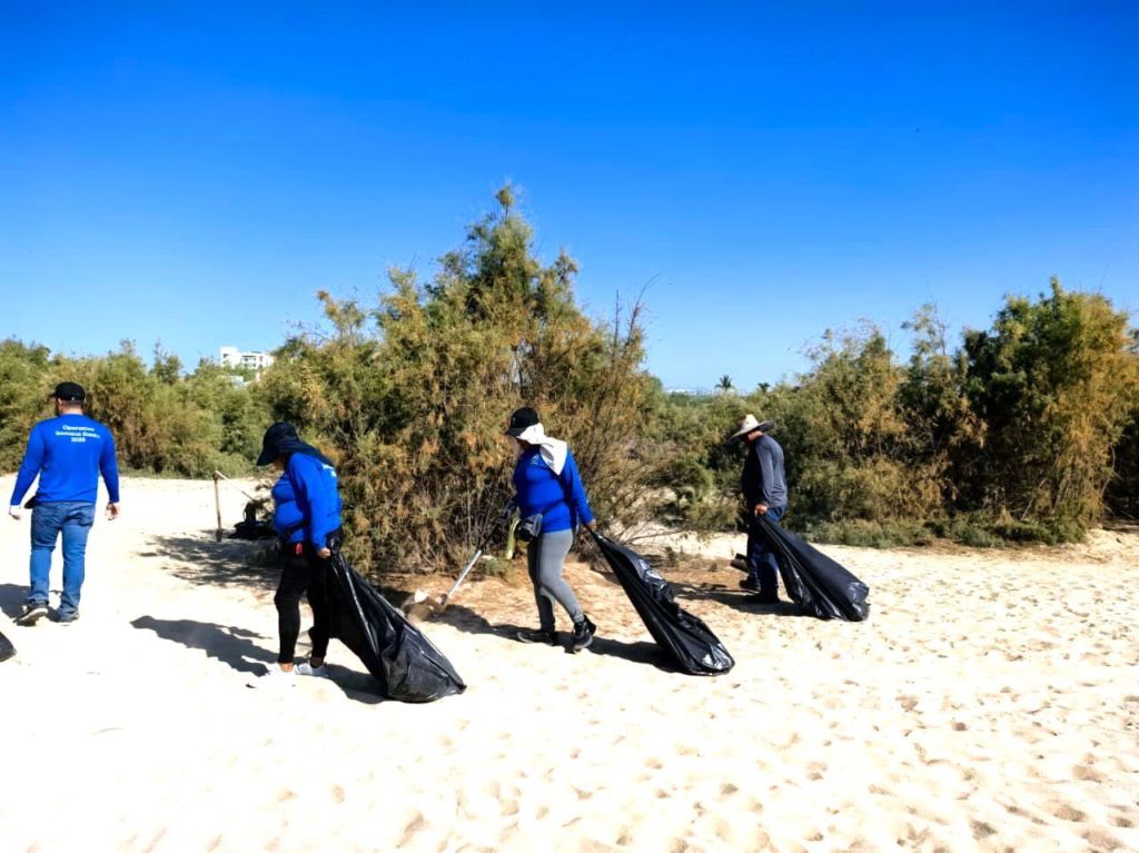 Alianza por el Medio Ambiente: AMPI y Zofemat Unen Fuerzas en Jornada de Limpieza en Playa 8&nbsp;Cascadas