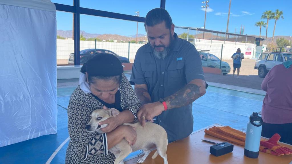 Loreto Destaca: La Gestión de Paz Ochoa Amador Impulsa un Futuro&nbsp;Próspero