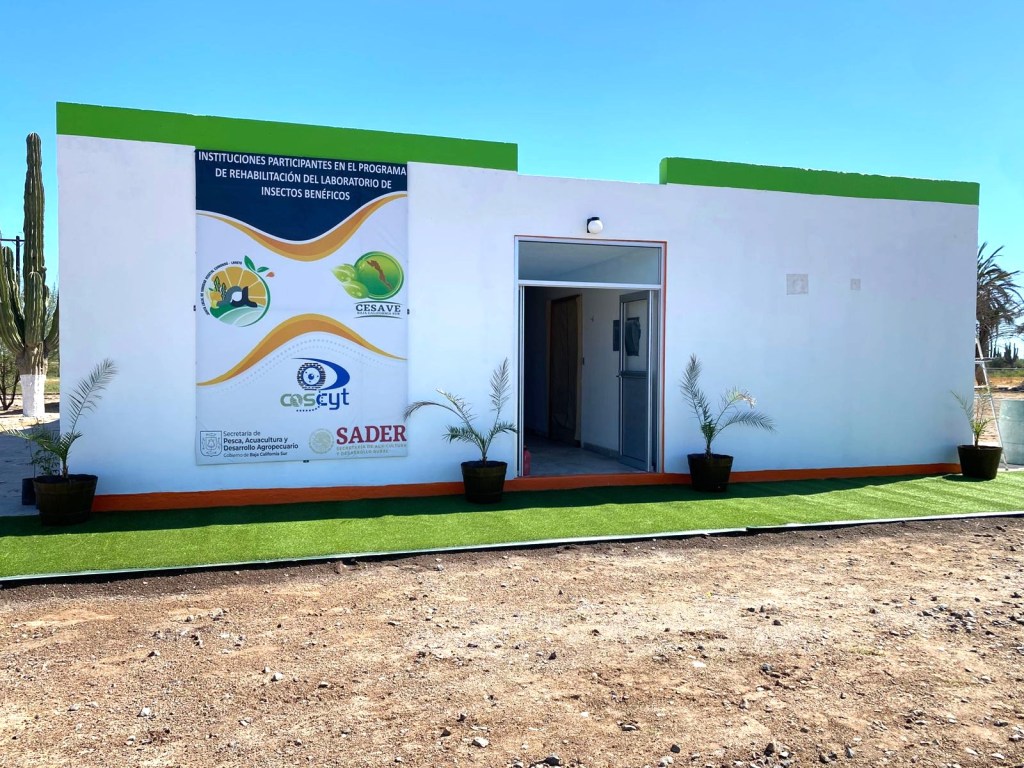 Autoridades de BCS firman convenio para reactivar laboratorio de insectos benéficos. (02 de Octubre&nbsp;2025)