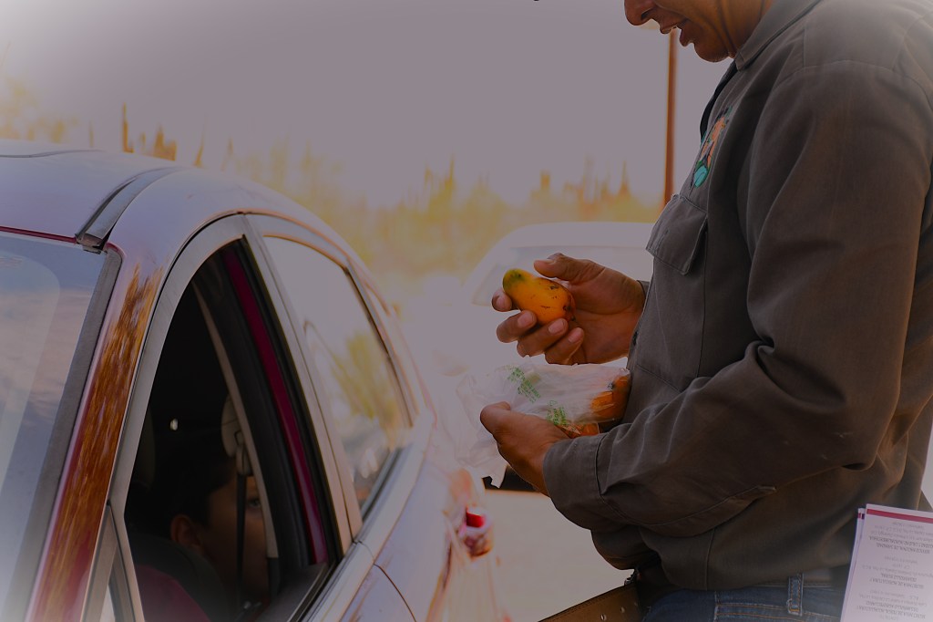 Gobierno de BCS trabaja en acciones para salvaguardar la sanidad vegetal (28 de Julio&nbsp;2026).
