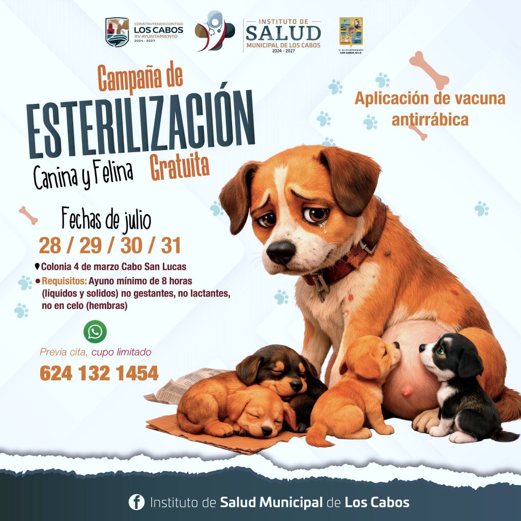 Anuncian campaña gratuita de esterilización canina y felina en Cabo San Lucas (26 de Julio&nbsp;2026).