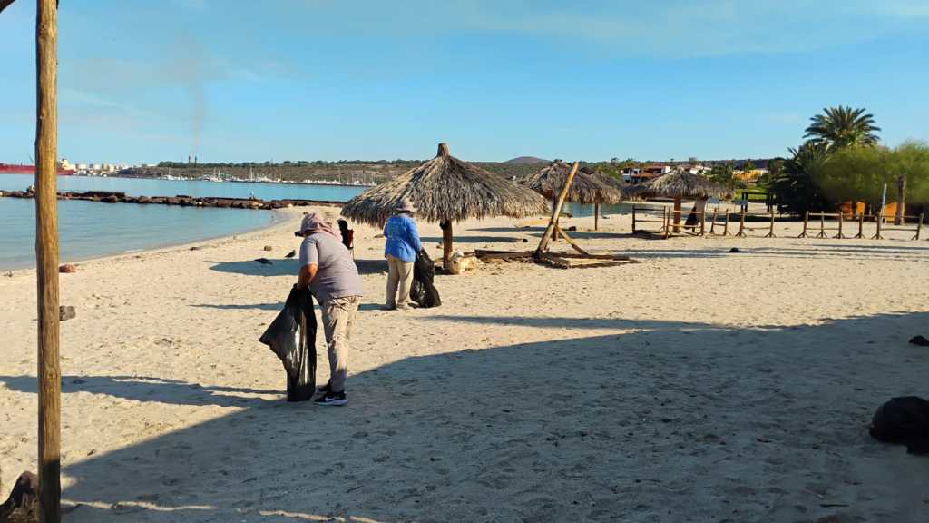 Recolectan más de 6 toneladas de residuos en playas de La Paz (09 de Septiembre&nbsp;2026).